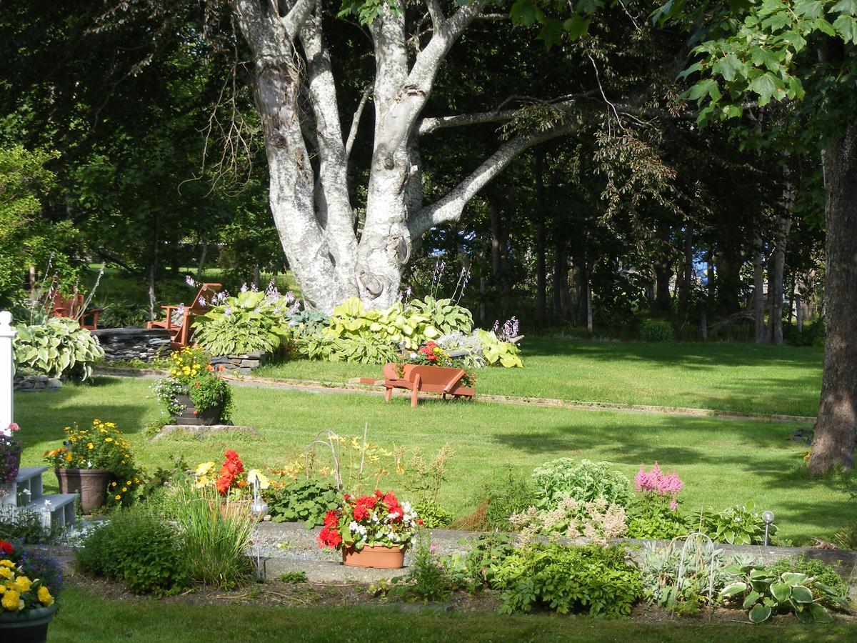 Rothesay House Heritage Inn B&B Harbour Grace Dış mekan fotoğraf