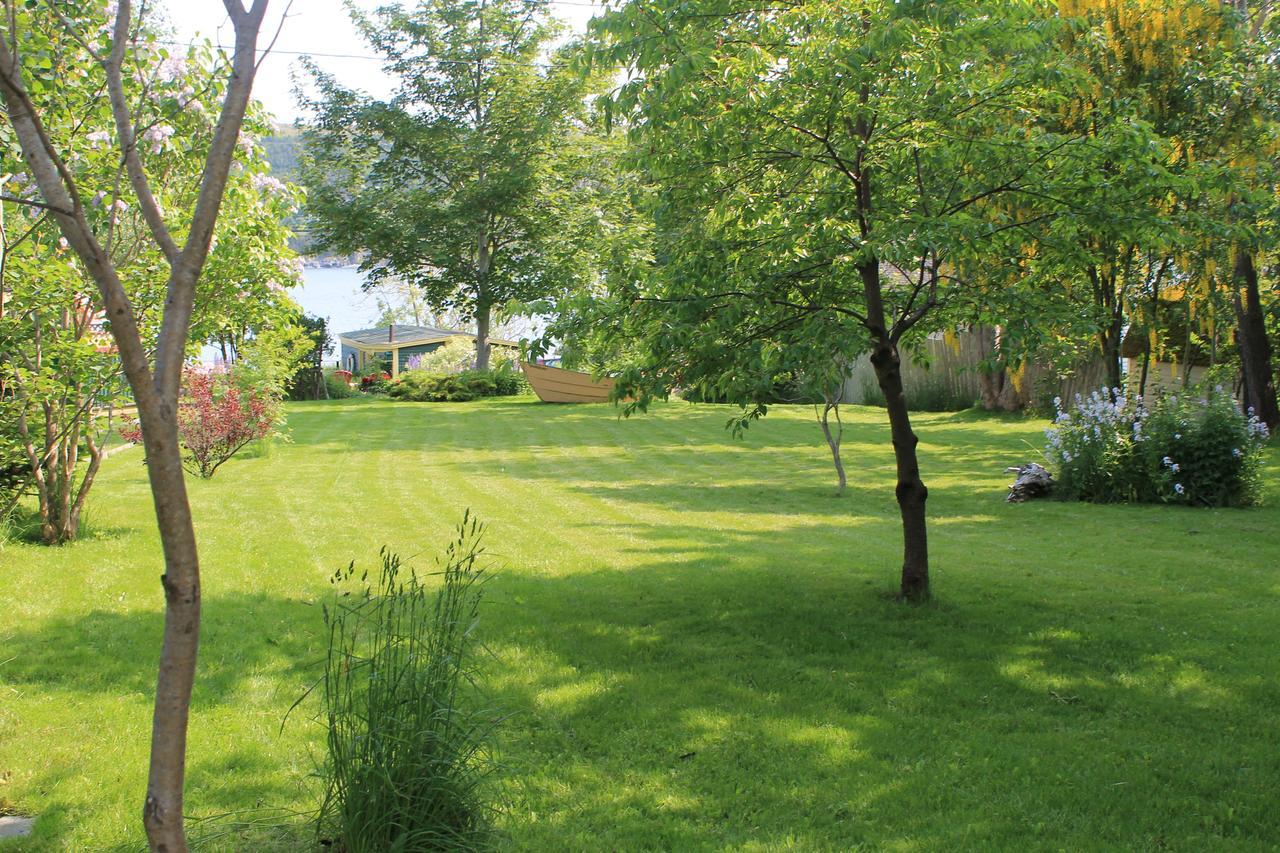Rothesay House Heritage Inn B&B Harbour Grace Dış mekan fotoğraf